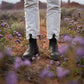 Men's Classics #558