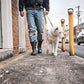 Men's Originals #2528