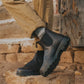 Men's Classics #2540